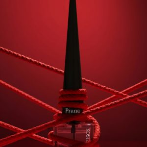 Kostka Ulje Za Zanoktice - Prana 15 ML